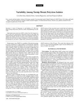 Variability Among Turnip Mosaic Potyvirus Isolates
