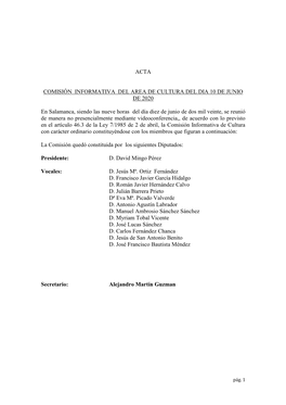 Acta Comisión Informativa Del Area De Cultura Del Dia 10
