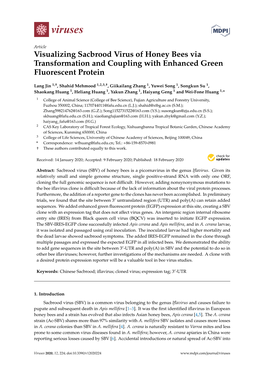 Visualizing Sacbrood Virus of Honey Bees Via Transformation and Coupling with Enhanced Green Fluorescent Protein