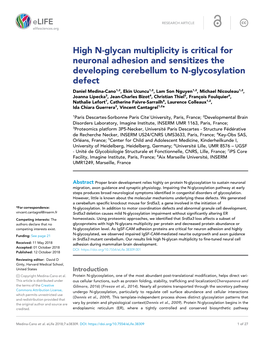 High N-Glycan Multiplicity Is Critical for Neuronal Adhesion and Sensitizes the Developing Cerebellum to N-Glycosylation Defect