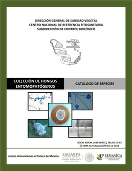 Catálogo De Especies Entomopatógenos