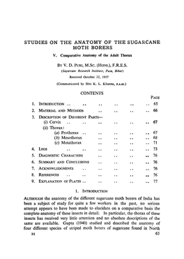Studies on the Anatomy of the Sugarcane Moth Borers