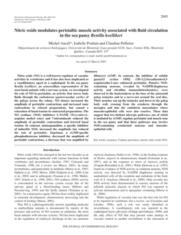 Nitric Oxide Modulates Peristaltic Muscle Activity Associated with Fluid