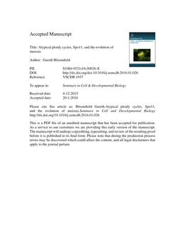 Atypical Ploidy Cycles, Spo11, and the Evolution of Meiosis