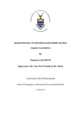 Spatial Behaviour of Reintroduced Male Buffalo and Their