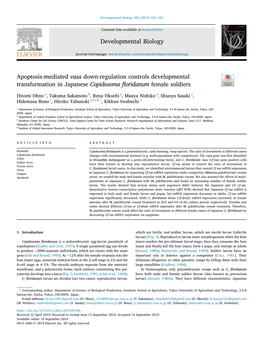 Apoptosis-Mediated Vasa Down-Regulation Controls Developmental Transformation in Japanese Copidosoma ﬂoridanum Female Soldiers