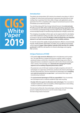 CIGS White Paper (2019)(Pdf, 7MB)