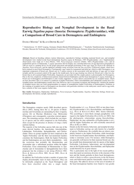 Reproductive Biology and Nymphal Development in the Basal Earwig