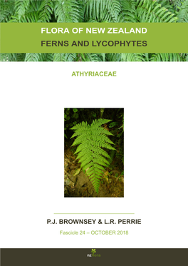 Flora of New Zealand Ferns and Lycophytes