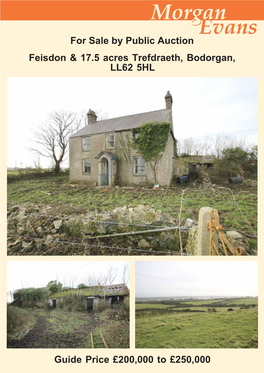 Feisdon & 17.5 Acres Trefdraeth, Bodorgan, LL62 5HL Guide Price £200,000 to £250,000 for Sale by Public Auction