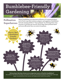 Bumblebee-Friendly Gardening