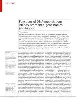 Functions of DNA Methylation: Islands, Start Sites, Gene Bodies and Beyond