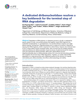 A Dedicated Diribonucleotidase Resolves a Key Bottleneck for The