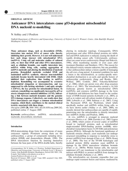 Anticancer DNA Intercalators Cause P53-Dependent Mitochondrial DNA Nucleoid Re-Modelling