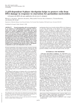 A P53-Dependent S-Phase Checkpoint Helps to Protect Cells from DNA Damage in Response to Starvation for Pyrimidine Nucleotides