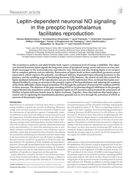 Leptin-Dependent Neuronal NO Signaling in the Preoptic