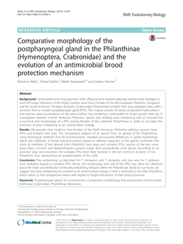 Hymenoptera, Crabronidae) and the Evolution of an Antimicrobial Brood Protection Mechanism Katharina Weiss1, Erhard Strohm1, Martin Kaltenpoth2,3 and Gudrun Herzner1*