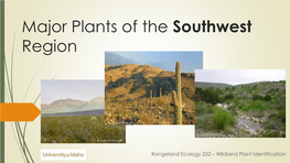 Major Plants of the Southwest Region