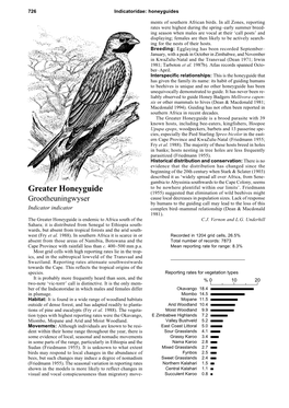 Greater Honeyguide