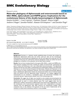 Molecular Phylogeny of Diplomonads and Enteromonads Based on SSU