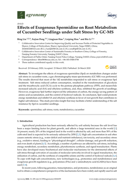 Effects of Exogenous Spermidine on Root Metabolism of Cucumber