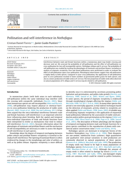 Pollination and Self-Interference in Nothofagus