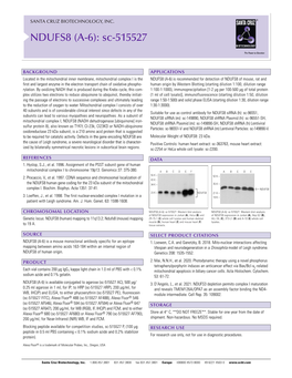 NDUFS8 (A-6): Sc-515527