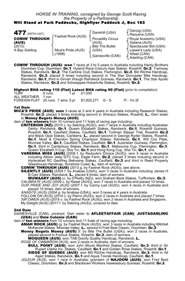 HORSE in TRAINING, Consigned by George Scott Racing the Property of a Partnership Will Stand at Park Paddocks, Highflyer Paddock J, Box 183