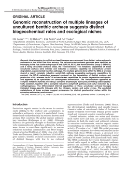 Genomic Reconstruction of Multiple Lineages of Uncultured Benthic Archaea Suggests Distinct Biogeochemical Roles and Ecological Niches