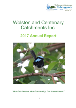 Wacc Annual Report 2017