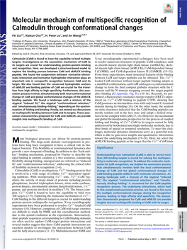 Molecular Mechanism of Multispecific Recognition of Calmodulin Through Conformational Changes