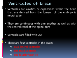 Ventricles of Brain ▪ Ventricles Are Cavities Or Expansions Within the Brain That Are Derived from the Lumen of the Embryonic Neural Tube