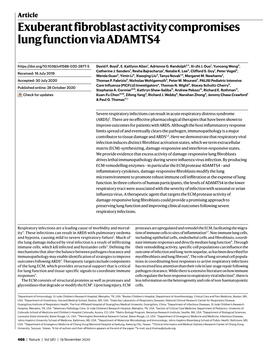 Exuberant Fibroblast Activity Compromises Lung Function Via ADAMTS4