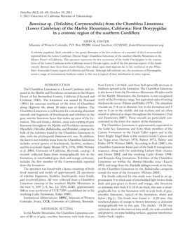 (Lower Cambrian) of the Marble Mountains, California: First Dorypygidae in a Cratonic Region of the Southern Cordillera