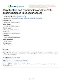 Identi Cation and Con Rmation of Slit Defect- Causing Bacteria in Cheddar