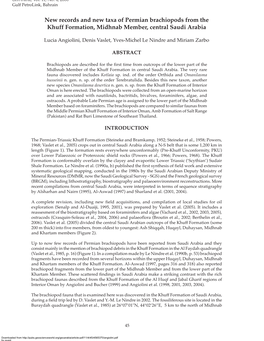 New Records and New Taxa of Permian Brachiopods from the Khuff Formation, Midhnab Member, Central Saudi Arabia