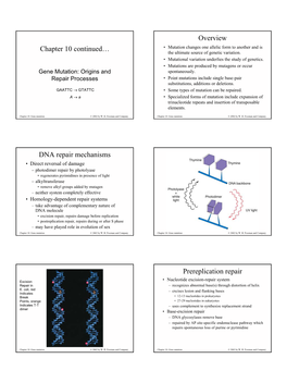 Overview DNA Repair Mechanisms Prereplication Repair