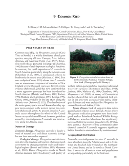 9 COMMON REED PEST STATUS of WEED Nature of Damage Geographical Distribution