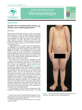 Sporadic Form of Epidermolysis Bullosa Simplex with Mottled