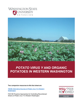 Potato Virus Y and Organic Potatoes in Western Washington