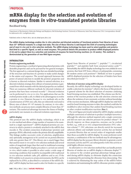 Mrna Display for the Selection and Evolution of Enzymes from in Vitro