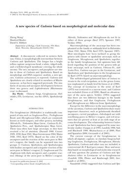 A New Species of Cudonia Based on Morphological and Molecular Data