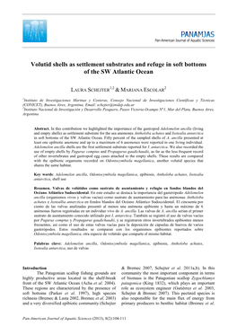 Volutid Shells As Settlement Substrates and Refuge in Soft Bottoms of the SW Atlantic Ocean