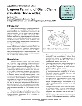 Lagoon Farming of Giant Clams (Bivalvia: Tridacnidae)