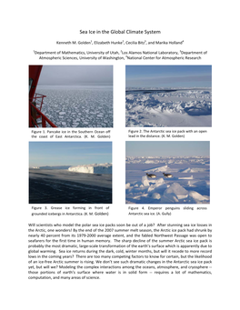 Sea Ice in the Global Climate System