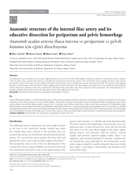 Anatomic Structure of the Internal Iliac Artery and Its