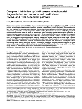 Complex II Inhibition by 3-NP Causes Mitochondrial Fragmentation and Neuronal Cell Death Via an NMDA- and ROS-Dependent Pathway