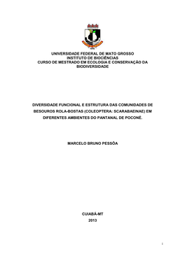 Dissertação Marcelo Bruno Pessoa 2013