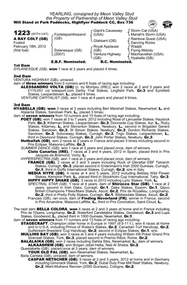 YEARLING, Consigned by Meon Valley Stud the Property of Partnership of Meon Valley Stud Will Stand at Park Paddocks, Highflyer Paddock CC, Box 736