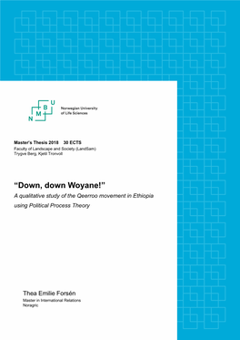 “Down, Down Woyane!” a Qualitative Study of the Qeerroo Movement in Ethiopia Using Political Process Theory